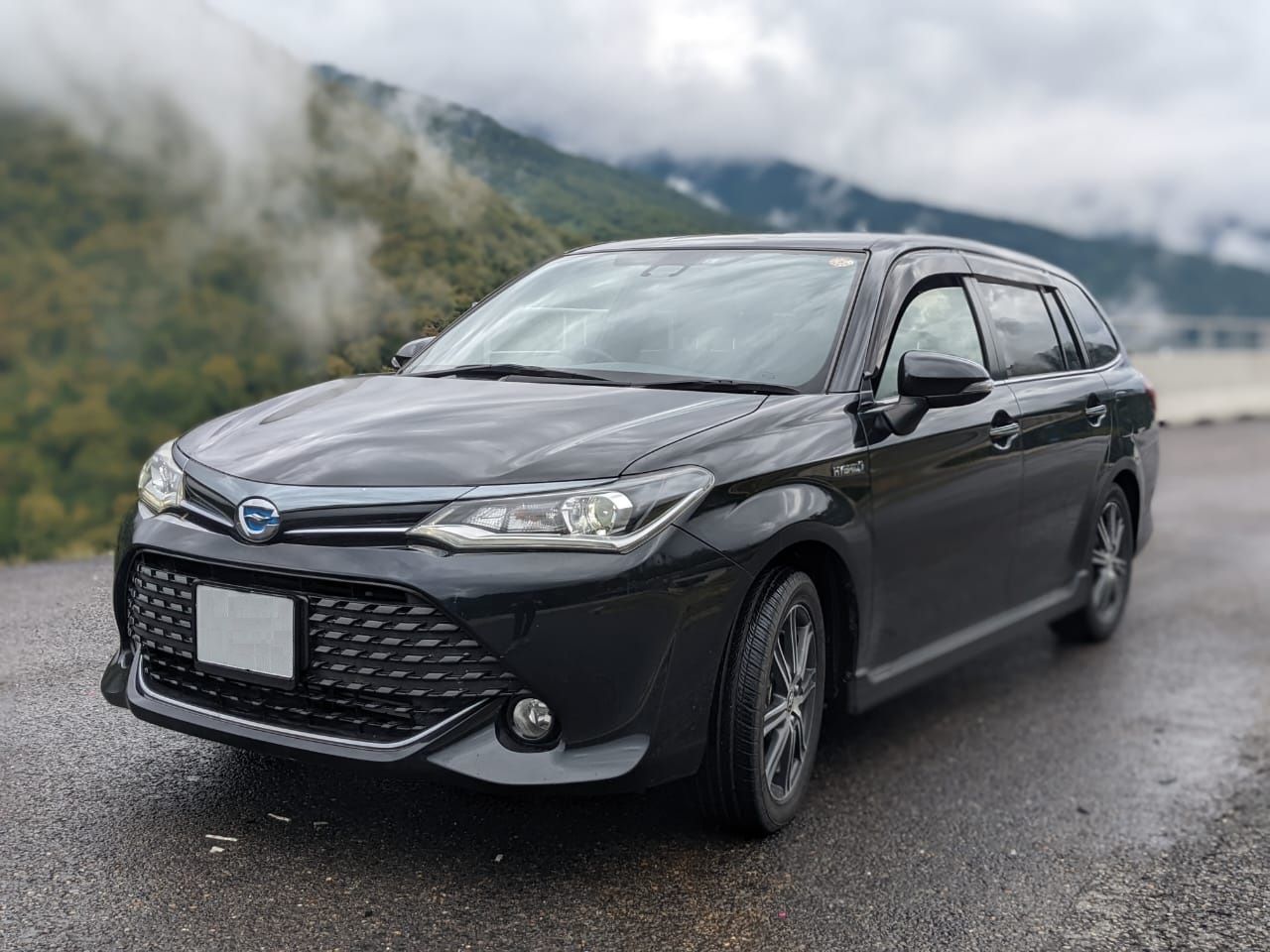 Toyota Corolla Fielder